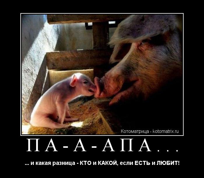 ПА-А-АПА... ... и какая разница - КТО и КАКОЙ, если ЕСТЬ и ЛЮБИТ!... Котоматрица: ПА-А-АПА... ... и какая разница - КТО и КАКОЙ, если ЕСТЬ и ЛЮБИТ!
