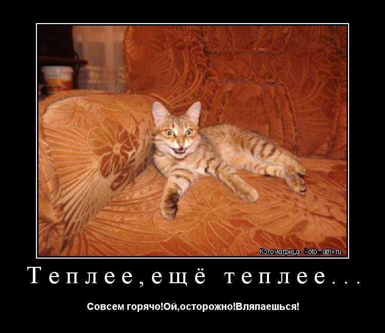 Теплее,ещё теплее... Совсем горячо!Ой,осторожно!Вляпаешься!... Котоматрица: Теплее,ещё теплее... Совсем горячо!Ой,осторожно!Вляпаешься!