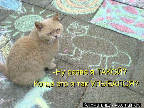 -Ну разве я ТАКОЙ? Когда это я так УЛЫБАЛСЯ?... Котоматрица: -Ну разве я ТАКОЙ? Когда это я так УЛЫБАЛСЯ?
