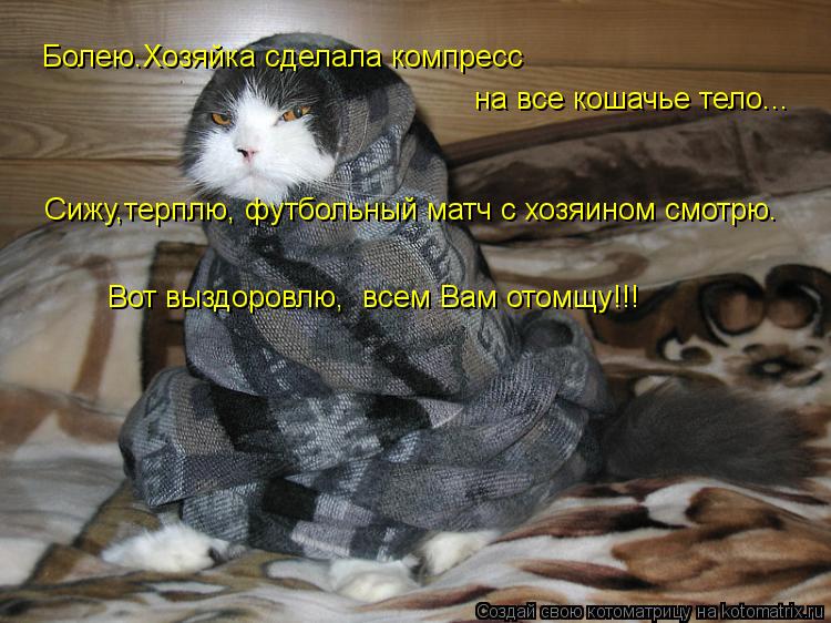 Болею.Хозяйка сделала компресс на все кошачье тело... Сижу,терплю, футбольный матч с хозяином смотрю... Котоматрица: Болею.Хозяйка сделала компресс на все кошачье тело... Сижу,терплю, футбольный матч с хозяином смотрю. Вот выздоровлю, всем Вам отомщу!!!