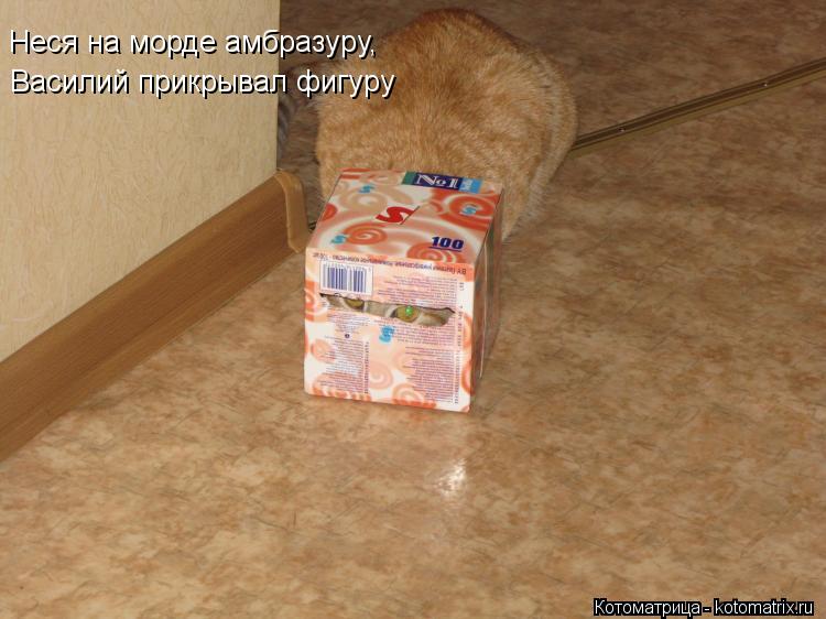 Неся на морде амбразуру, Василий прикрывал фигуру... Котоматрица: Неся на морде амбразуру, Василий прикрывал фигуру
