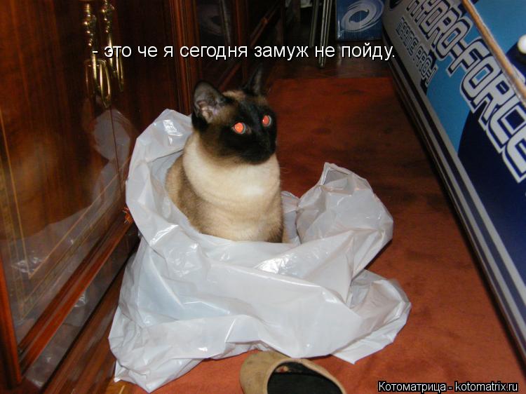 - это че я сегодня замуж не пойду.... Котоматрица: - это че я сегодня замуж не пойду.