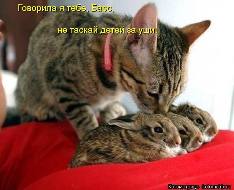 Говорила я тебе, Барс, не таскай детей за уши!... Котоматрица: Говорила я тебе, Барс, не таскай детей за уши!