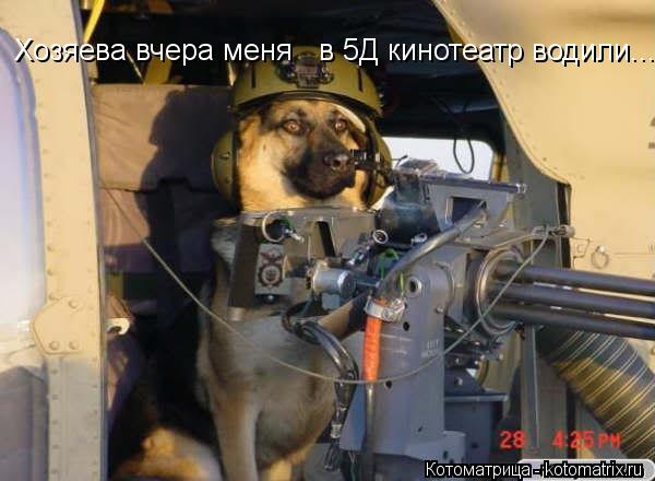 Хозяева вчера меня в 5Д кинотеатр водили....... Котоматрица: Хозяева вчера меня в 5Д кинотеатр водили....