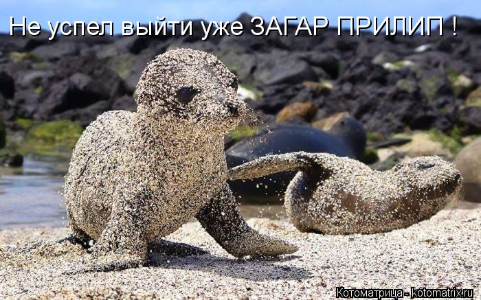 Не успел выйти уже ЗАГАР ПРИЛИП !... Котоматрица: Не успел выйти уже ЗАГАР ПРИЛИП !