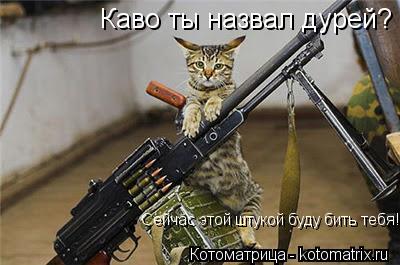 Каво ты назвал дурей? Сейчас этой штукой буду бить тебя!... Котоматрица: Каво ты назвал дурей? Сейчас этой штукой буду бить тебя!