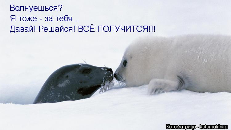 Волнуешься? Я тоже - за тебя... Давай! Решайся! ВСЁ ПОЛУЧИТСЯ!!!... Котоматрица: Волнуешься? Я тоже - за тебя... Давай! Решайся! ВСЁ ПОЛУЧИТСЯ!!!