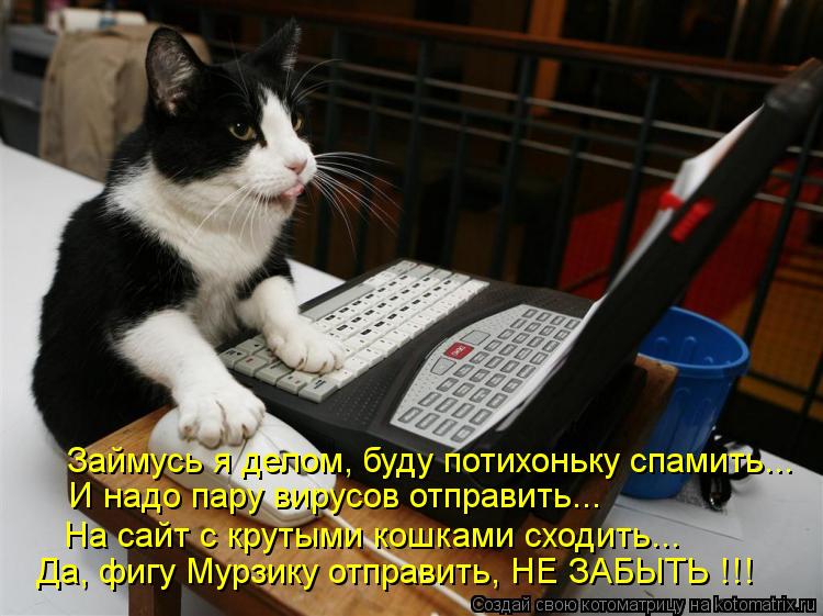 Котоматрица: Займусь я делом, буду потихоньку спамить... И надо пару вирусов отправить... На сайт с крутыми кошками сходить... Да, фигу Мурзику отправить, НЕ