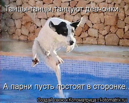 Танцы-танцы,танцуют девчонки, А парни пусть постоят в сторонке...... Котоматрица: Танцы-танцы,танцуют девчонки, А парни пусть постоят в сторонке...