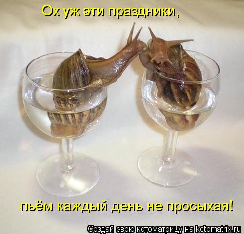 Ох уж эти праздники, пьём каждый день не просыхая!... Котоматрица: Ох уж эти праздники, пьём каждый день не просыхая!