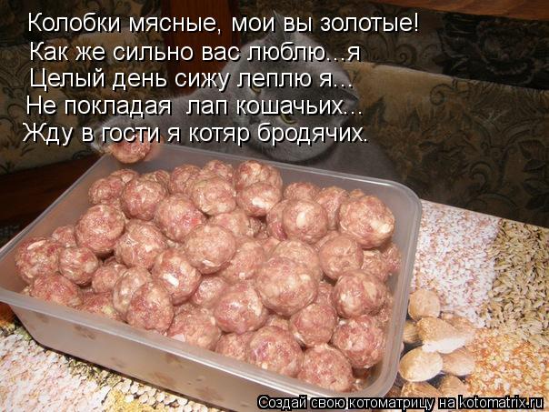 Колобки мясные, мои вы золотые! Как же сильно вас люблю...я Целый день сижу леплю я... Не покладая л... Котоматрица: Колобки мясные, мои вы золотые! Как же сильно вас люблю...я Целый день сижу леплю я... Не покладая лап кошачьих... Жду в гости я котяр бродячих.