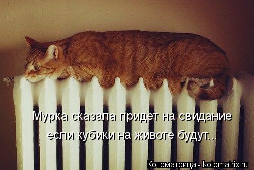 Мурка сказала придет на свидание если кубики на животе будут...... Котоматрица: Мурка сказала придет на свидание если кубики на животе будут...