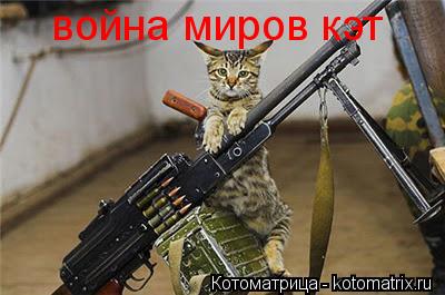 война миров кэт... Котоматрица: война миров кэт