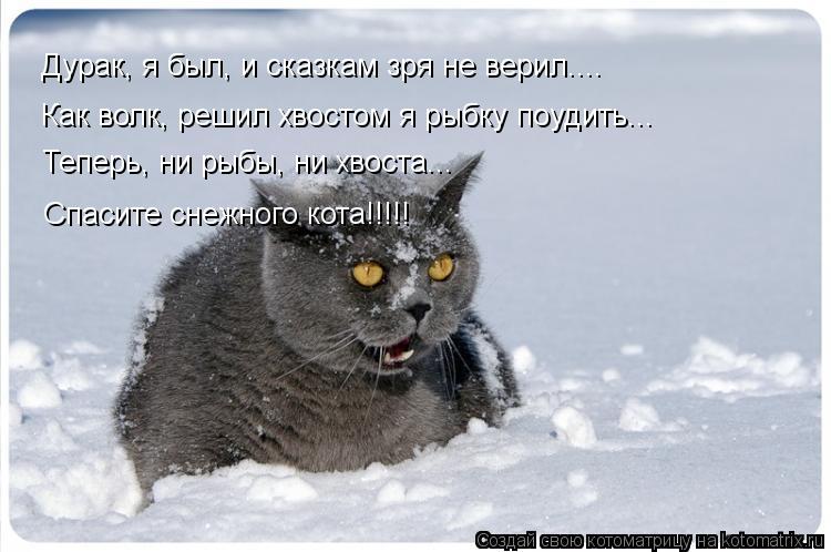 Дурак, я был, и сказкам зря не верил.... Как волк, решил хвостом я рыбку поудить... Теперь, ни рыбы, ... Котоматрица: Дурак, я был, и сказкам зря не верил.... Как волк, решил хвостом я рыбку поудить... Теперь, ни рыбы, ни хвоста... Спасите снежного кота!!!!!