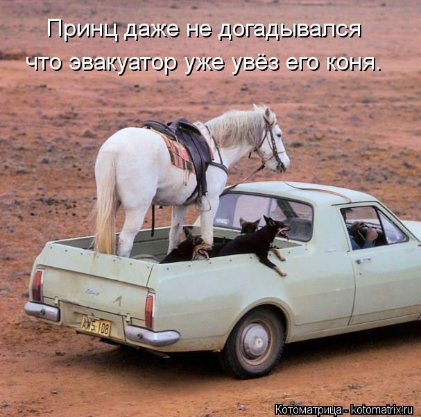 Принц даже не догадывался что эвакуатор уже увёз его коня.... Котоматрица: Принц даже не догадывался что эвакуатор уже увёз его коня.