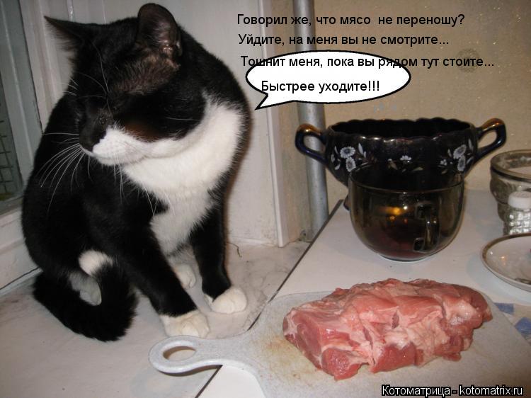 Говорил же, что мясо не переношу? Уйдите, на меня вы не смотрите... Тошнит меня, пока вы рядом тут с... Котоматрица: Говорил же, что мясо не переношу? Уйдите, на меня вы не смотрите... Тошнит меня, пока вы рядом тут стоите... Быстрее уходите!!!