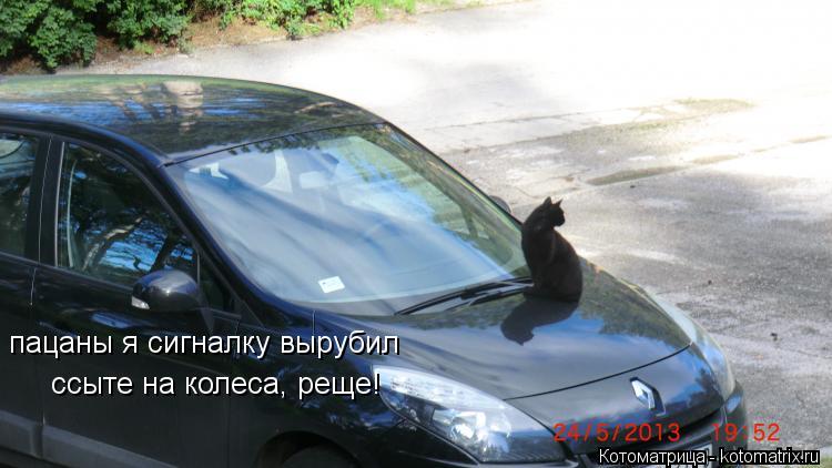 пацаны я сигналку вырубил ссыте на колеса, реще!... Котоматрица: пацаны я сигналку вырубил ссыте на колеса, реще!