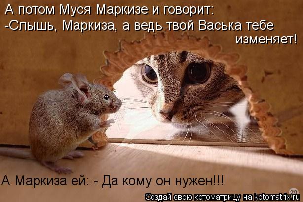 А потом Муся Маркизе и говорит: -Слышь, Маркиза, а ведь твой Васька тебе изменяет! А Маркиза ей: - Д... Котоматрица: А потом Муся Маркизе и говорит: -Слышь, Маркиза, а ведь твой Васька тебе изменяет! А Маркиза ей: - Да кому он нужен!!!