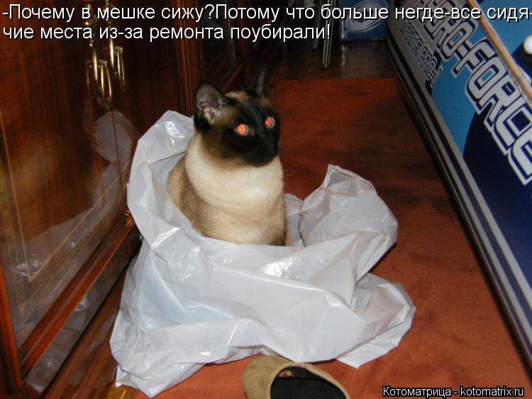 -Почему в мешке сижу?Потому что больше негде-все сидя- чие места из-за ремонта поубирали!... Котоматрица: -Почему в мешке сижу?Потому что больше негде-все сидя- чие места из-за ремонта поубирали!