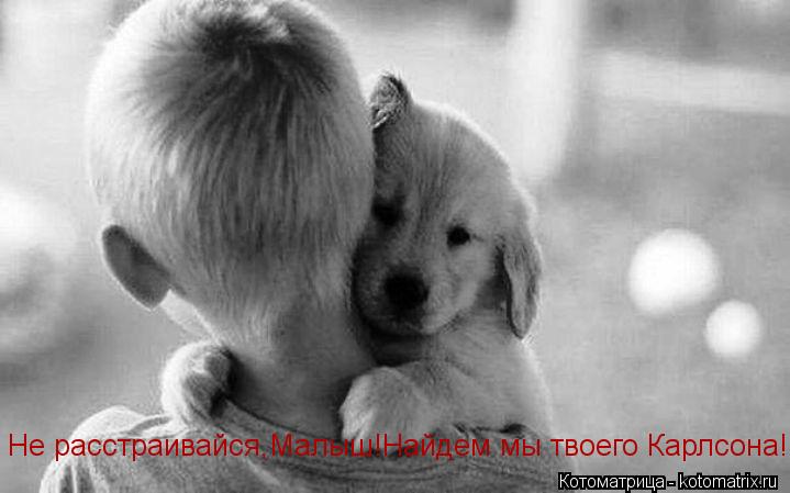 Не расстраивайся,Малыш!Найдем мы твоего Карлсона!... Котоматрица: Не расстраивайся,Малыш!Найдем мы твоего Карлсона!