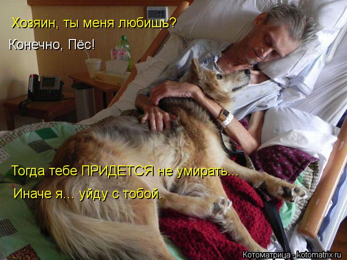 Конечно, Пёс! Хозяин, ты меня любишь? Тогда тебе ПРИДЕТСЯ не умирать... Иначе я... уйду с тобой.... Котоматрица: Конечно, Пёс! Хозяин, ты меня любишь? Тогда тебе ПРИДЕТСЯ не умирать... Иначе я... уйду с тобой.