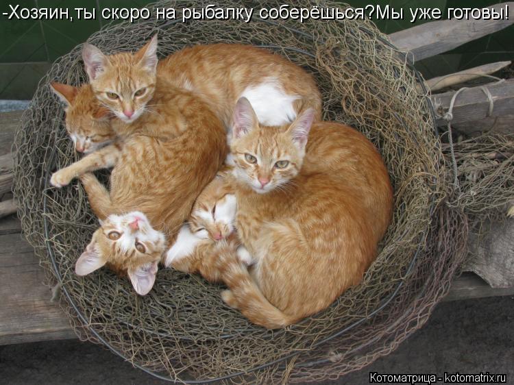 -Хозяин,ты скоро на рыбалку соберёшься?Мы уже готовы!... Котоматрица: -Хозяин,ты скоро на рыбалку соберёшься?Мы уже готовы!