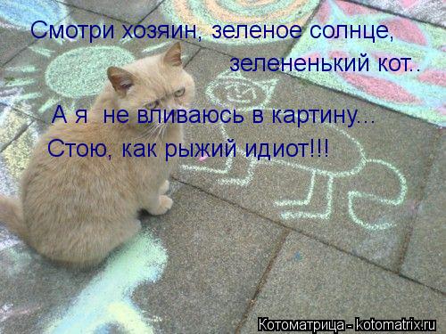 Смотри хозяин, зеленое солнце, зелененький кот.. А я не вливаюсь в картину... Стою, как рыжий идиот!... Котоматрица: Смотри хозяин, зеленое солнце, зелененький кот.. А я не вливаюсь в картину... Стою, как рыжий идиот!!!