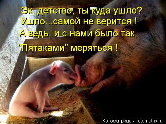 Эх, детство, ты куда ушло? Ушло...самой не верится ! А ведь, и с нами было так, "Пятаками" меряться ... Котоматрица: Эх, детство, ты куда ушло? Ушло...самой не верится ! А ведь, и с нами было так, "Пятаками" меряться !