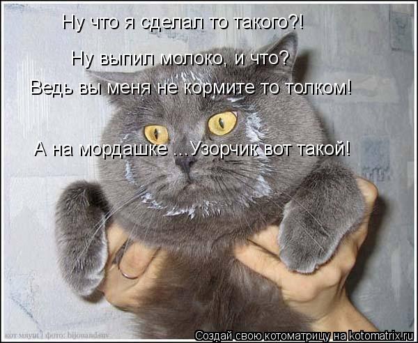 Ну что я сделал то такого?! Ну выпил молоко, и что? Ведь вы меня не кормите то толком! А на мордашке ... Котоматрица: Ну что я сделал то такого?! Ну выпил молоко, и что? Ведь вы меня не кормите то толком! А на мордашке ...Узорчик вот такой!