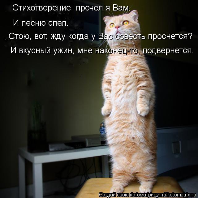 Стихотворение прочел я Вам. И песню спел. Стою, вот, жду когда у Вас совесть проснется? И вкусный уж... Котоматрица: Стихотворение прочел я Вам. И песню спел. Стою, вот, жду когда у Вас совесть проснется? И вкусный ужин, мне наконец-то, подвернется.