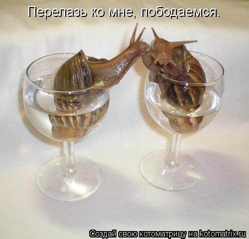 Перелазь ко мне, пободаемся.... Котоматрица: Перелазь ко мне, пободаемся.