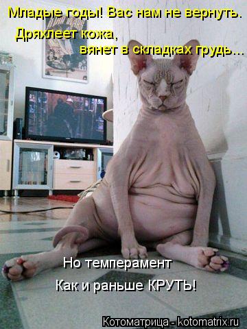 Младые годы! Вас нам не вернуть. Дряхлеет кожа, вянет в складках грудь... Но темперамент Как и раньш... Котоматрица: Младые годы! Вас нам не вернуть. Дряхлеет кожа, вянет в складках грудь... Но темперамент Как и раньше КРУТЬ!