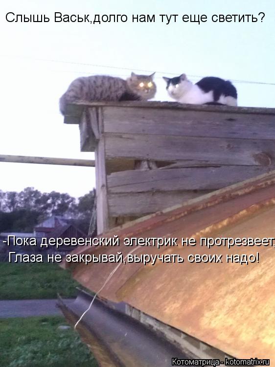 Слышь Васьк,долго нам тут еще светить? -Пока деревенский электрик не протрезвеет, Глаза не закрывай,в... Котоматрица: Слышь Васьк,долго нам тут еще светить? -Пока деревенский электрик не протрезвеет, Глаза не закрывай,выручать своих надо!