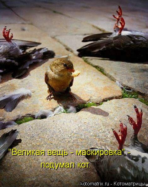 "Великая вещь - маскировка" - подумал кот.... Котоматрица: "Великая вещь - маскировка" - подумал кот.