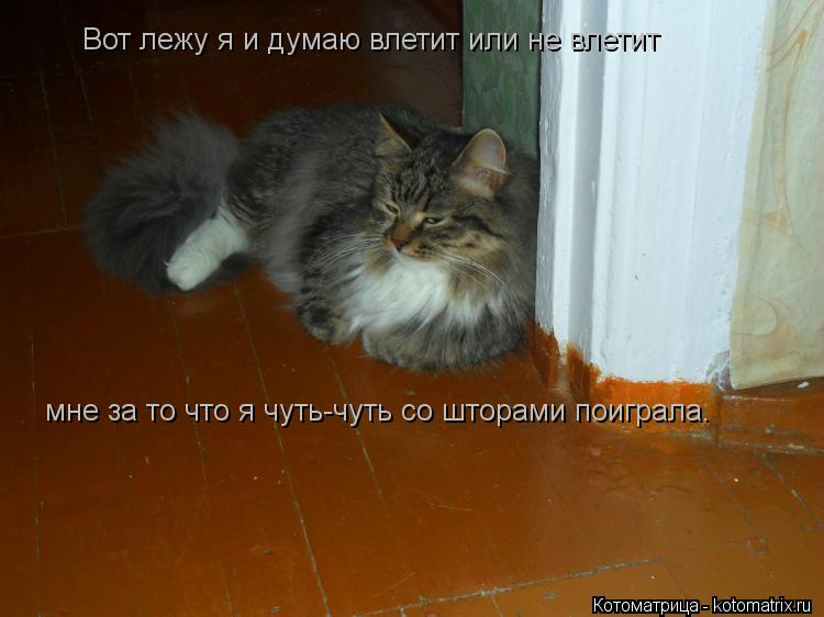 Вот лежу я и думаю влетит или не влетит мне за то что я чуть-чуть со шторами поиграла.... Котоматрица: Вот лежу я и думаю влетит или не влетит мне за то что я чуть-чуть со шторами поиграла.
