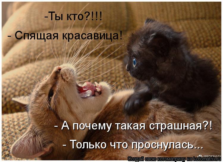-Ты кто?!!! - Спящая красавица! - А почему такая страшная?! - Только что проснулась...... Котоматрица: -Ты кто?!!! - Спящая красавица! - А почему такая страшная?! - Только что проснулась...