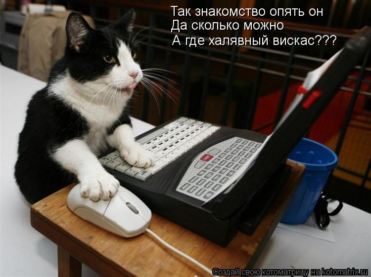 Так знакомство опять он Да сколько можно А где халявный вискас???... Котоматрица: Так знакомство опять он Да сколько можно А где халявный вискас???