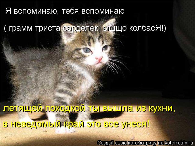 Я вспоминаю, тебя вспоминаю ( грамм триста сарделек, ыщщо колбасЯ!) летящей походкой ты вышла из кухн... Котоматрица: Я вспоминаю, тебя вспоминаю ( грамм триста сарделек, ыщщо колбасЯ!) летящей походкой ты вышла из кухни, в неведомый край это все унеся!