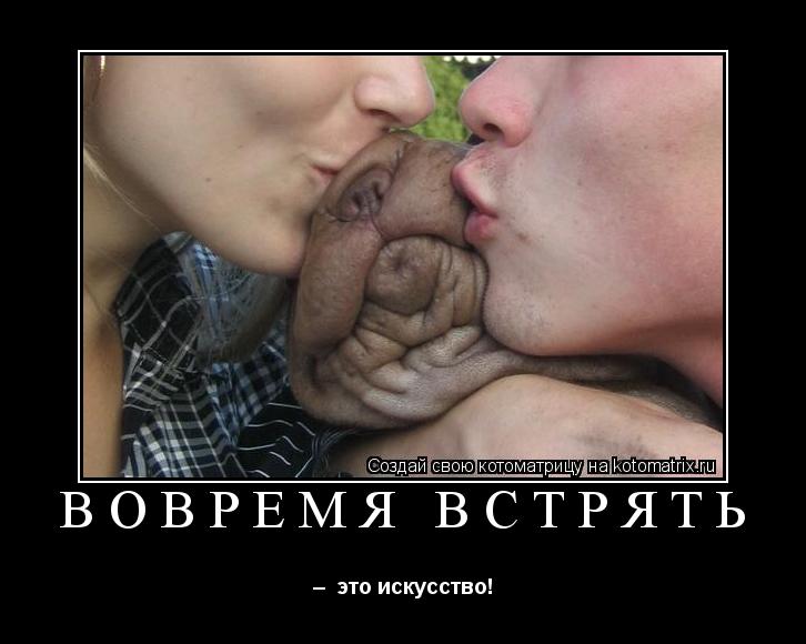 ВОВРЕМЯ ВСТРЯТЬ – это искусство!... Котоматрица: ВОВРЕМЯ ВСТРЯТЬ – это искусство!