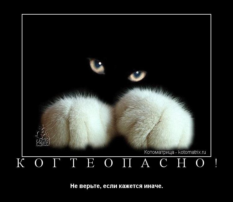 К О Г Т Е О П А С Н О ! Не верьте, если кажется иначе.... Котоматрица: К О Г Т Е О П А С Н О ! Не верьте, если кажется иначе.