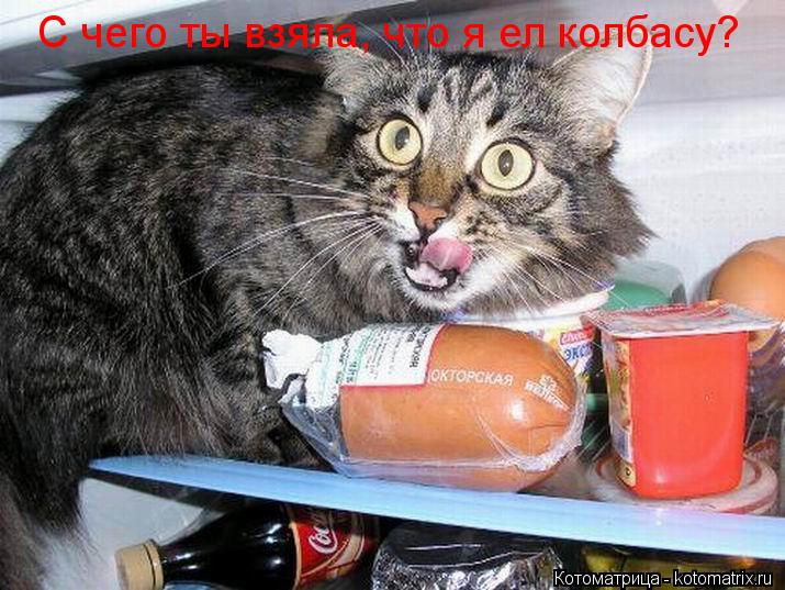 С чего ты взяла, что я ел колбасу?... Котоматрица: С чего ты взяла, что я ел колбасу?