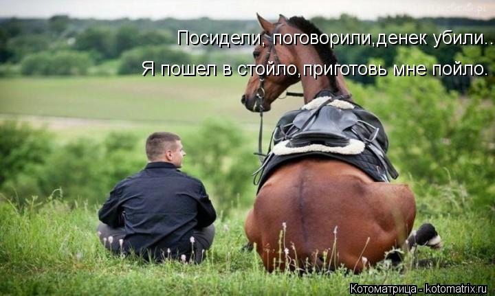 Посидели, поговорили,денек убили.. Я пошел в стойло,приготовь мне пойло.... Котоматрица: Посидели, поговорили,денек убили.. Я пошел в стойло,приготовь мне пойло.