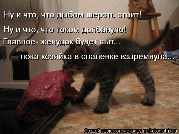 Ну и что, что дыбом шерсть стоит! Ну и что, что током долбануло! Главное- желудок будет сыт... пока х... Котоматрица: Ну и что, что дыбом шерсть стоит! Ну и что, что током долбануло! Главное- желудок будет сыт... пока хозяйка в спаленке вздремнула...