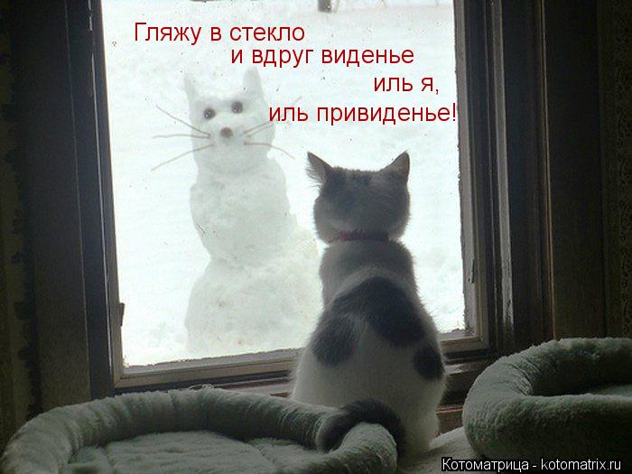 Гляжу в стекло иль я, иль привиденье! и вдруг виденье... Котоматрица: Гляжу в стекло иль я, иль привиденье! и вдруг виденье