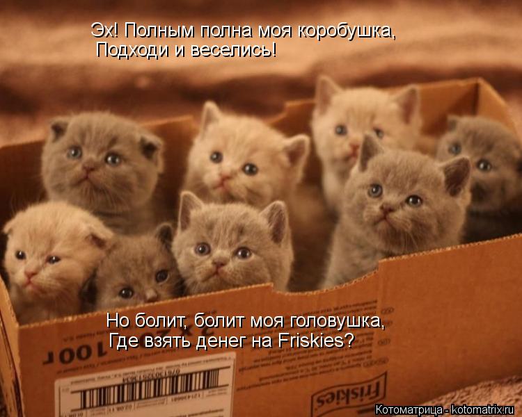 Эх! Полным полна моя коробушка, Подходи и веселись! Но болит, болит моя головушка, Где взять денег на... Котоматрица: Эх! Полным полна моя коробушка, Подходи и веселись! Но болит, болит моя головушка, Где взять денег на Friskies?