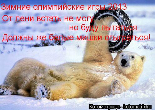 Зимние олимпийские игры 2013 От лени встать не могу, но буду пытаться.. Должны же белые мишки отыгра... Котоматрица: Зимние олимпийские игры 2013 От лени встать не могу, но буду пытаться.. Должны же белые мишки отыграться!