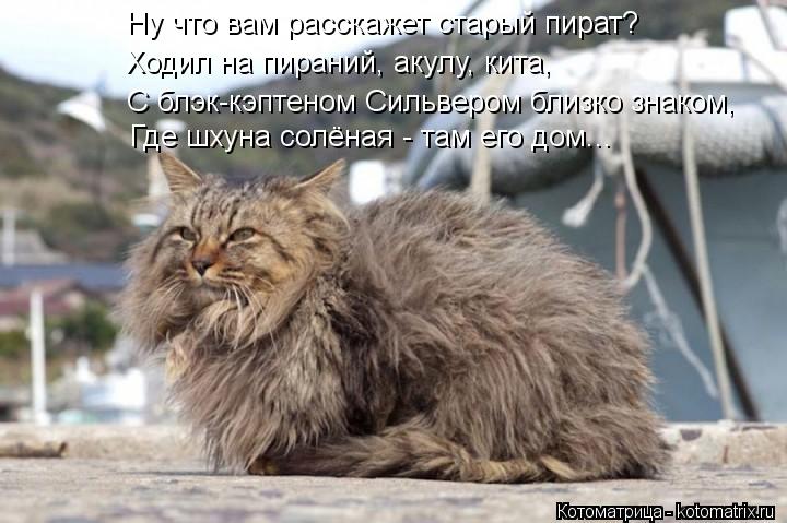Ну что вам расскажет старый пират? Ходил на пираний, акулу, кита, С блэк-кэптеном Сильвером близко зн... Котоматрица: Ну что вам расскажет старый пират? Ходил на пираний, акулу, кита, С блэк-кэптеном Сильвером близко знаком, Где шхуна солёная - там его дом...