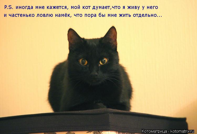 Котоматрица: P.S. иногда мне кажется, мой кот думает,что я живу у него и частенько ловлю намёк, что пора бы мне жить отдельно...