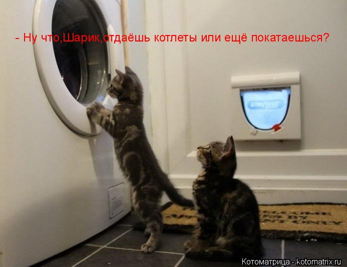 - Ну что,Шарик,отдаёшь котлеты или ещё покатаешься?... Котоматрица: - Ну что,Шарик,отдаёшь котлеты или ещё покатаешься?