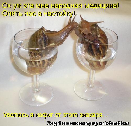Ох уж эта мне народная медицина! Опять нас в настойку! Уволюсь я нафиг от этого знахаря...... Котоматрица: Ох уж эта мне народная медицина! Опять нас в настойку! Уволюсь я нафиг от этого знахаря...